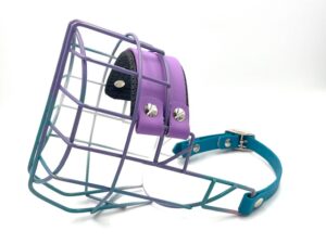 CHOPO Mittelschnauzer Rüde