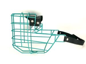 CHOPO Schäferhund Hündin türkis