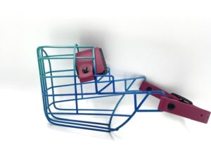 CHOPO Labrador Rüde