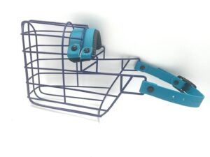 CHOPO Dobermann Rüde dunkelblau