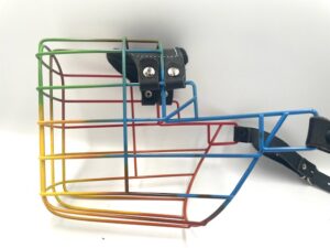 CHOPO Dobermann Rüde, mit kleinen Fehlern