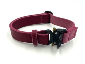 Halsband mit Schnellverschluss 2.5 cm, bordeaux