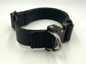 Halsband mit Cobraschnalle 4 cm, schwarz