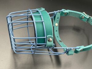 CHOPO "Foxterrier Rüde", taubenblau