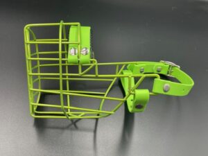 CHOPO "Foxterrier Hündin", limette