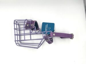 CHOPO Labrador Rüde Violett mit glimmer