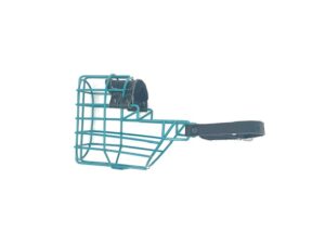 CHOPO "Foxterrier Hündin", wasserblau