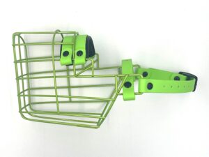 CHOPO Dobermann Rüde limette