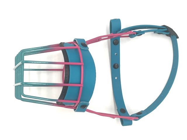 UNIMON Australian Shepherd lang, pink/wasserblau – Bild 2